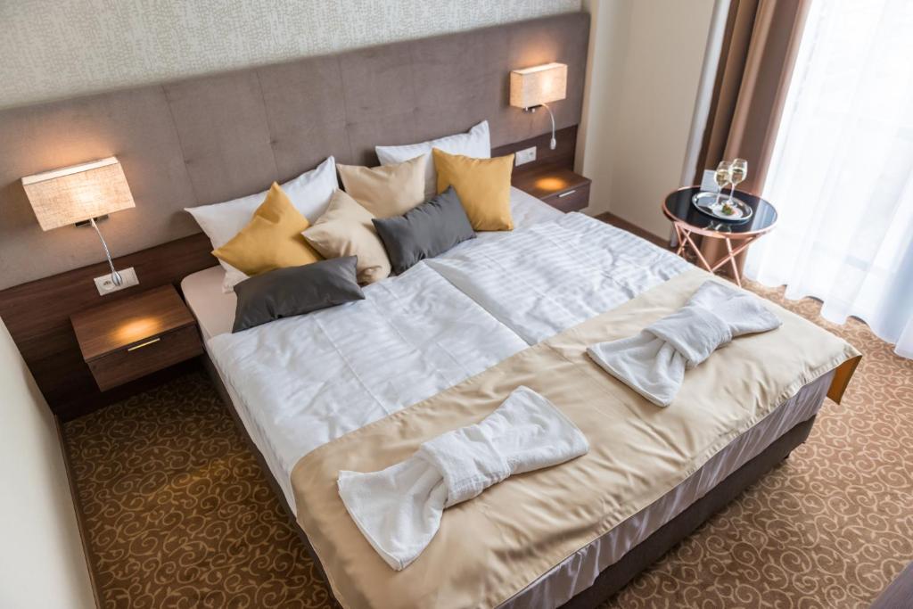 Hotel Thermalpark - 标准双人间（含使用泳池）