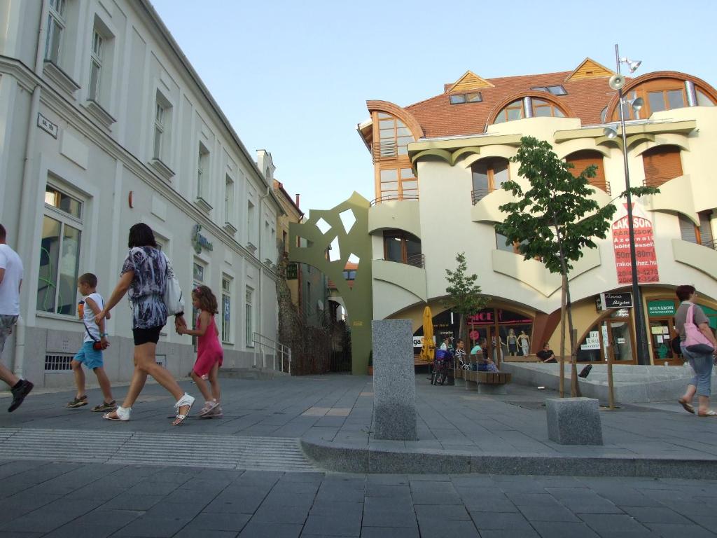 Hosté ubytování Hotel Diána