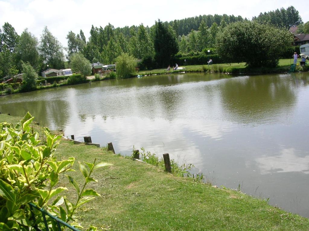 ein großer Wasserkörper mit Gras und Bäumen in der Unterkunft Auberge des Etangs in Roussent