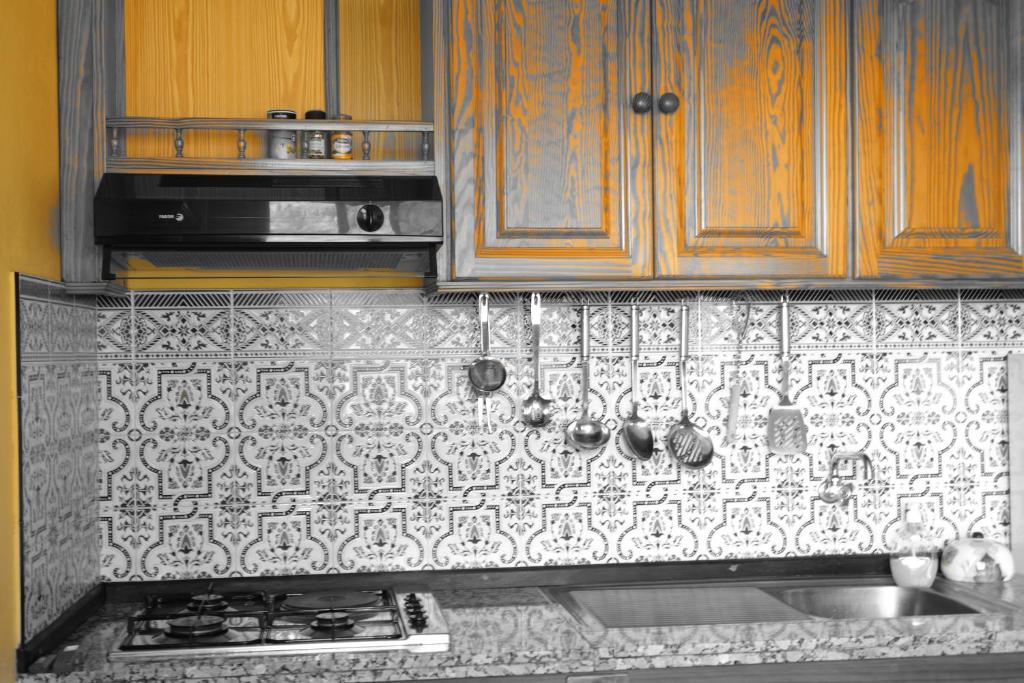 Kuchyň nebo kuchyňský kout v ubytování Apartamentos Nayara