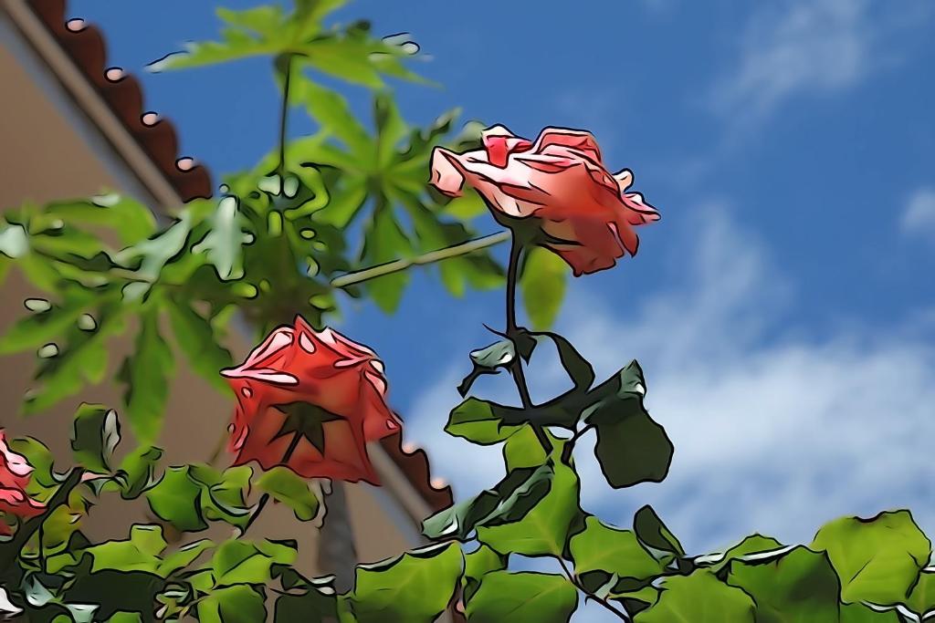 Zahrada ubytování Apartamentos Nayara