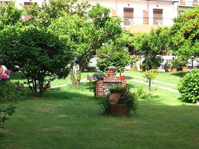 Zahrada ubytování Hotel Marina