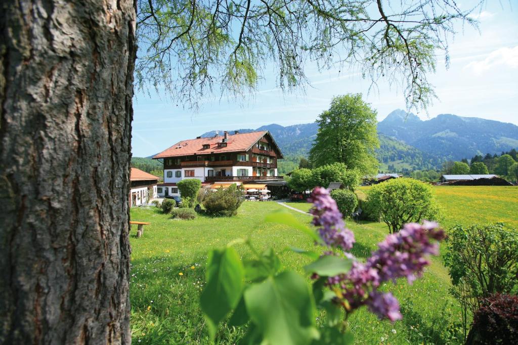 una casa en un campo con montañas en el fondo en Postgasthof, Hotel Rote-Wand en Bayrischzell