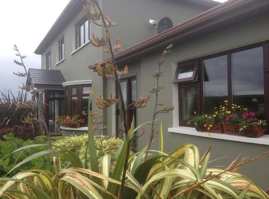 a house with some plants in front of it at The Country Haven Aircode V31Y166 in Ballybunion