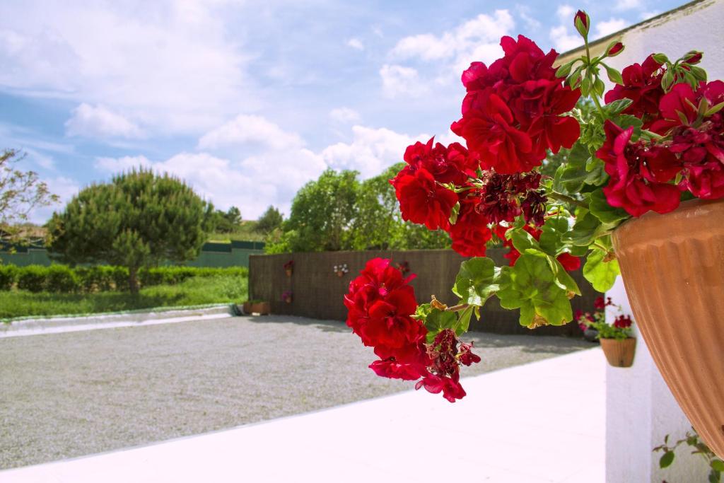 Casal Do Góis Guest House في اتوغويه ده باليه: حفنة من الزهور الحمراء على جدار أبيض