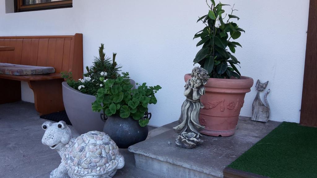 Zahrada ubytování Pension Schwemberger ohne Frühstück