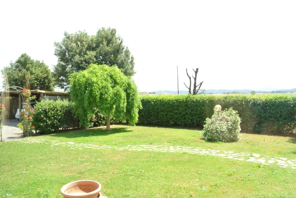 un jardín con un árbol y un seto en Agriturismo Poggio Campana en San Donato