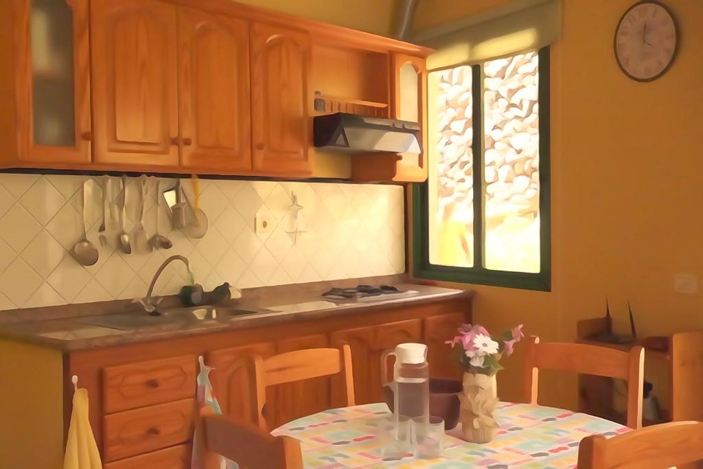 Kuchyň nebo kuchyňský kout v ubytování Apartamentos Nayara