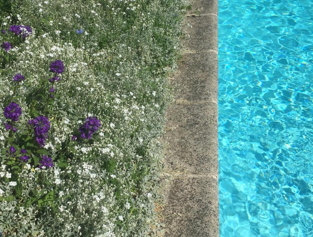 Bazén v ubytování Maison d'hôtes Fleurs de Vignes nebo v jeho okolí