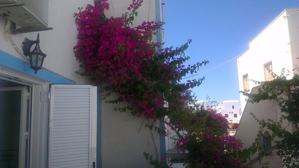 Pension Ptolemeos - 4