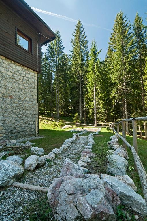 Příroda nedaleko apartmánu