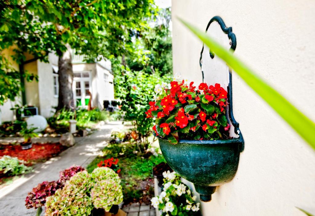 un vaso di fiori sospeso con fiori rossi in un giardino di Pension Margit a Baden