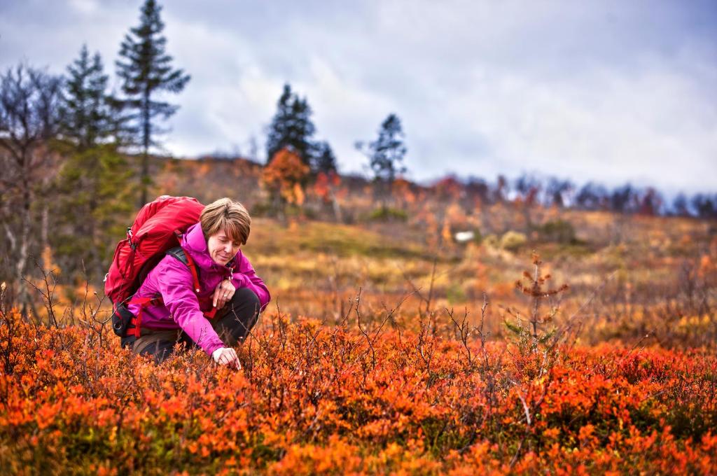 Гости Storhogna Högfjällshotell & Spa