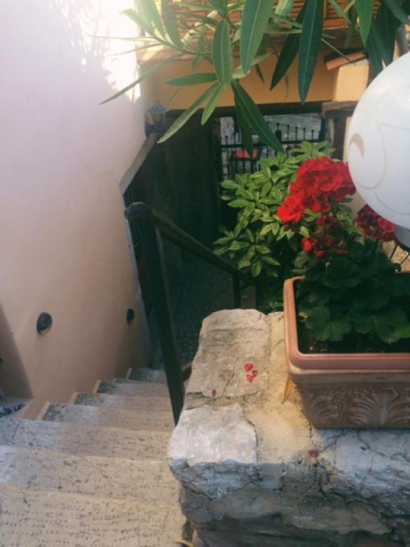 Fotografia z galérie ubytovania Krk centar v destinácii Krk