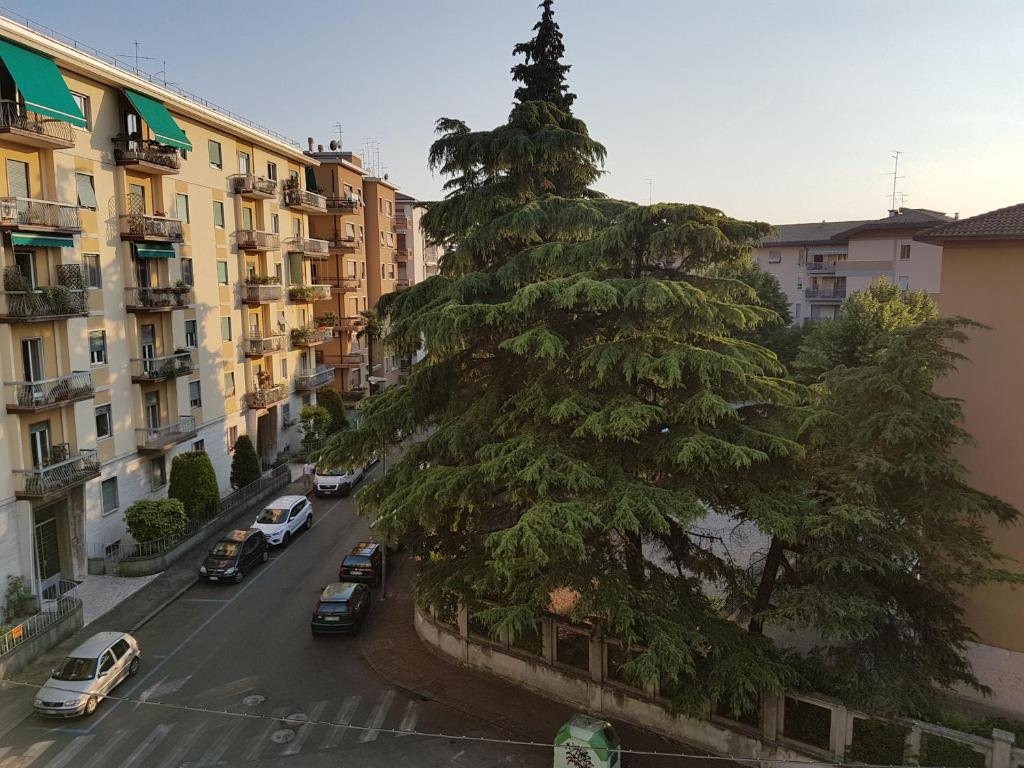 Okolí apartmánu