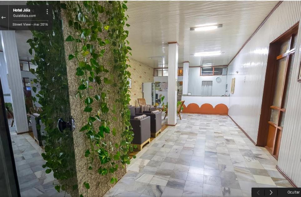 a hallway with a wall covered in ivy at Hotel Joia in Cascavel