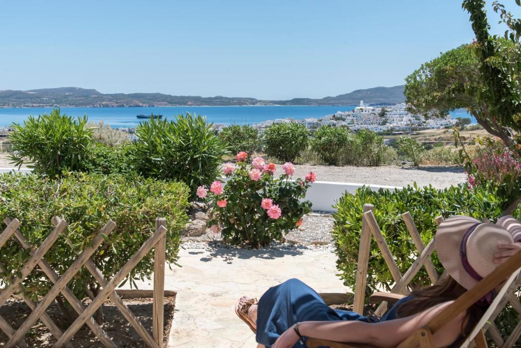 Psilandis Studios - 6