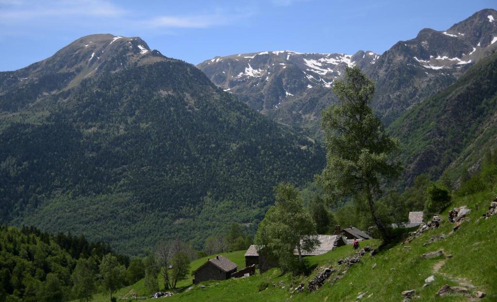 Príroda v okolí hotela