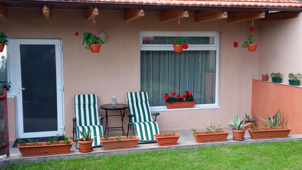 two chairs and potted plants on the porch of a house at Casa Sahar in Turda