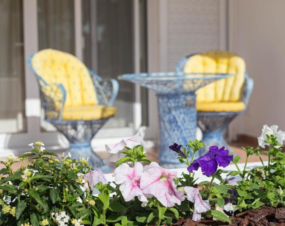 韋爾都勒博的住宿－Casa das Flores，两把椅子和一张桌子,前面摆放着鲜花