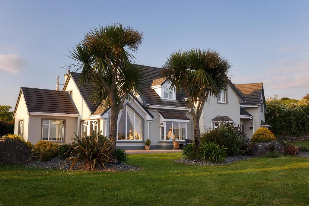 a house with two palm trees in the yard at Tower View in Dingle