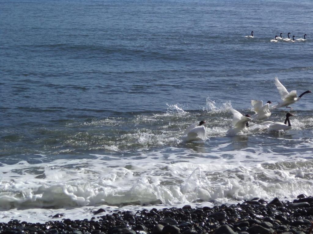 Alojamiento junto al mar