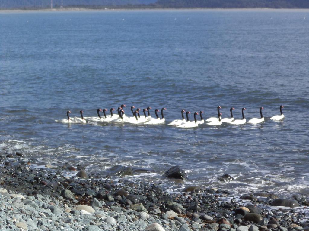 Alojamiento junto al mar