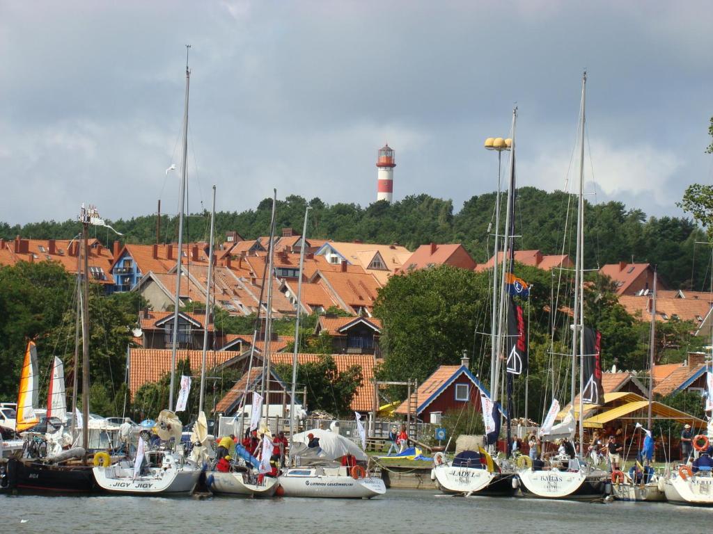 a bunch of boats are docked in a harbor at Apartamentai Dorė in Nida