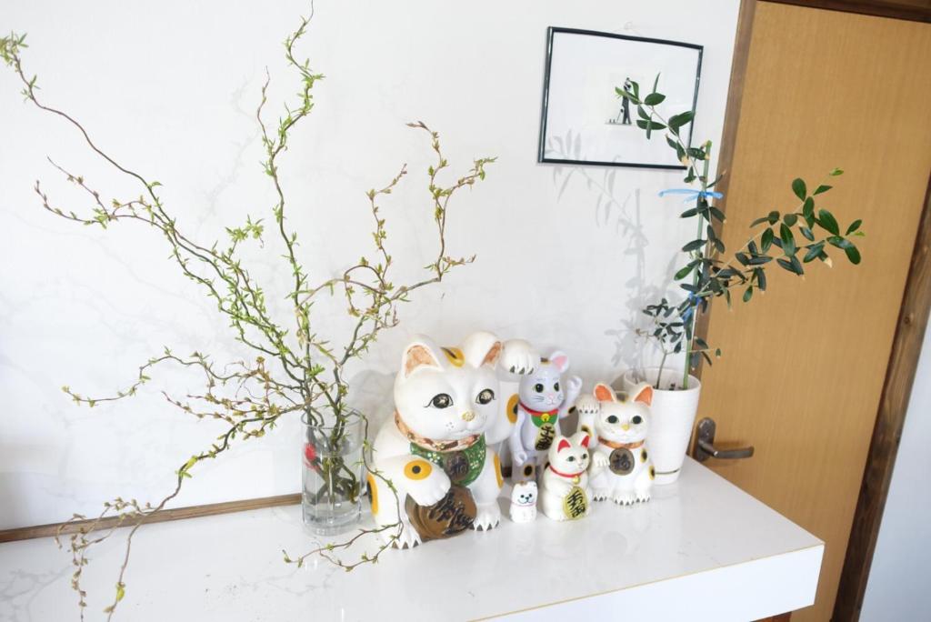 Fotografie z fotogalerie ubytování Guest House Hamada-en v destinaci Tottori
