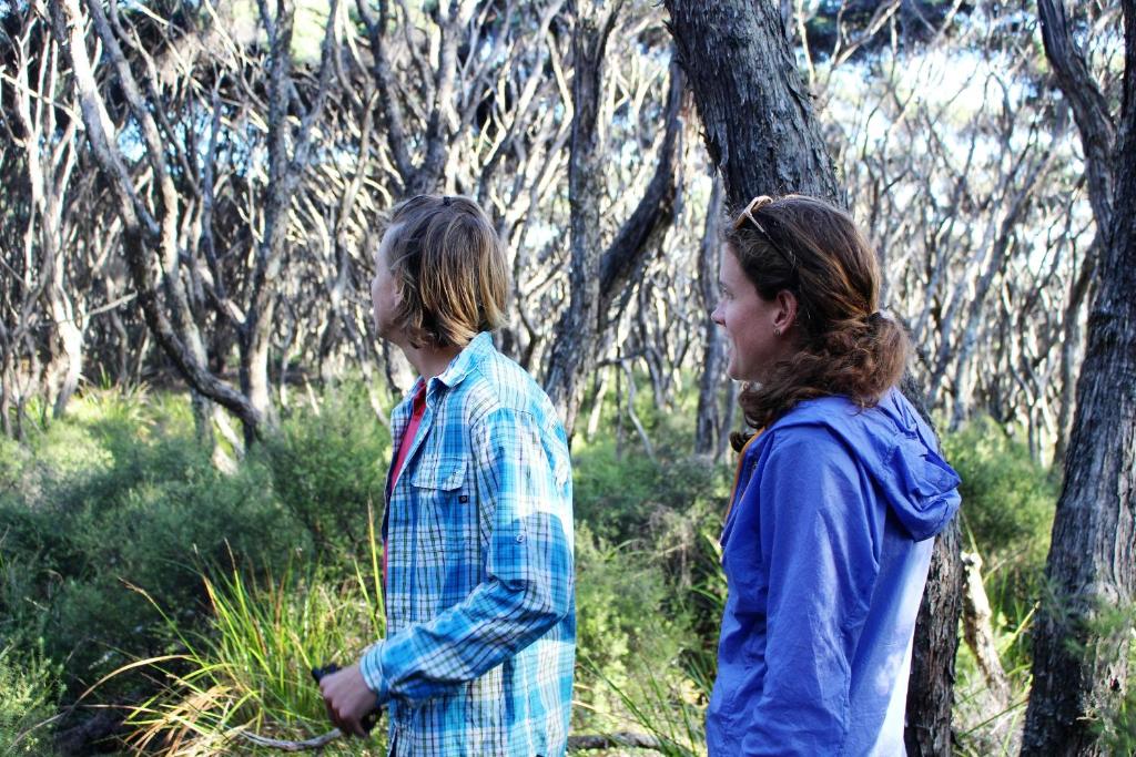 Close to beach - Resim 34