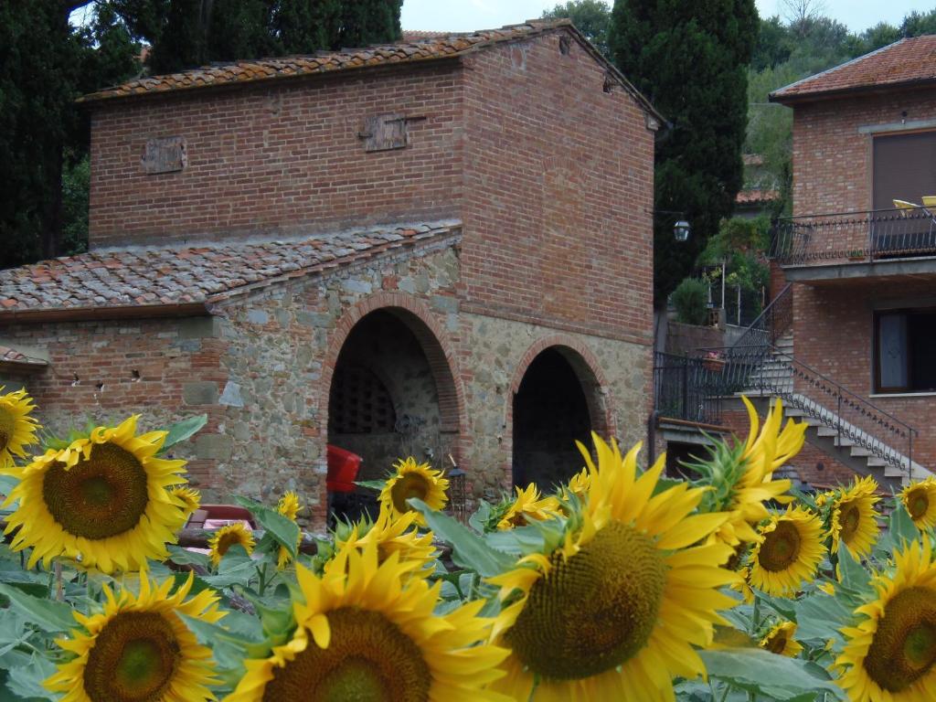 Fotografie z fotogalerie ubytování Podere La Capacciola v destinaci Sinalunga