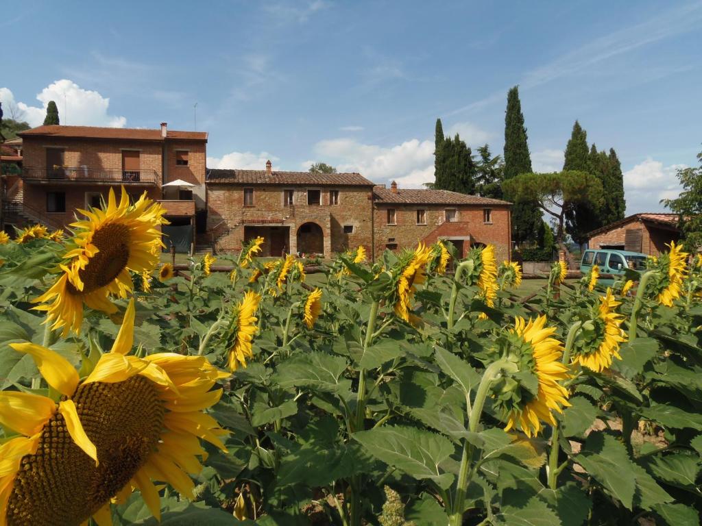 Zahrada ubytování Podere La Capacciola