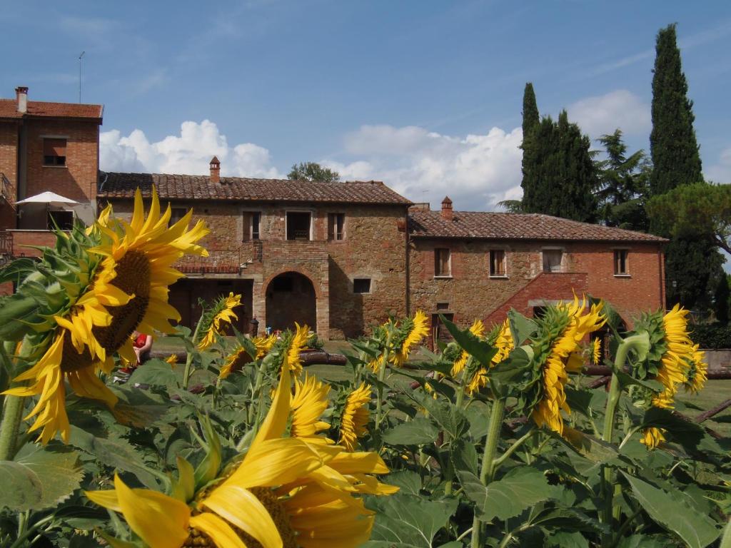 a field of sunflowers in front of a building at Podere La Capacciola in Sinalunga