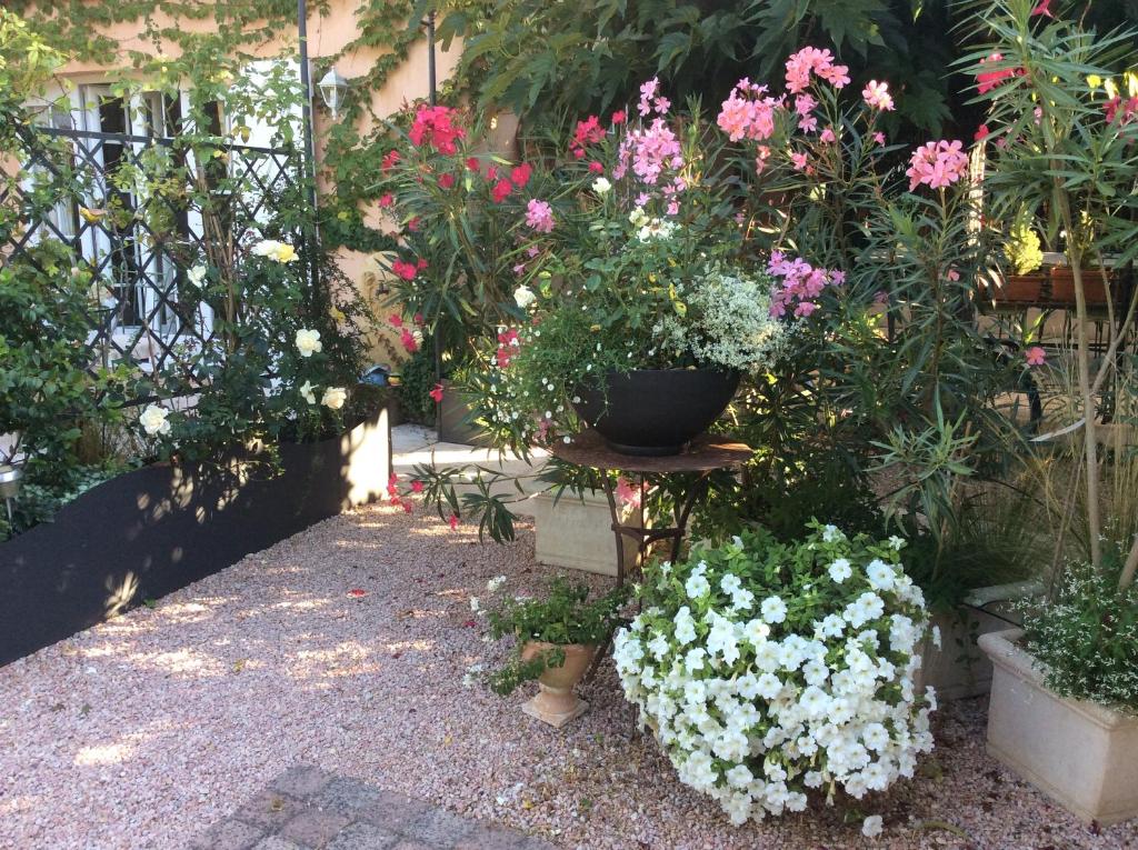 - un jardin avec un bouquet de fleurs et de plantes dans l'établissement La Villa Rosalie, à Ventabren