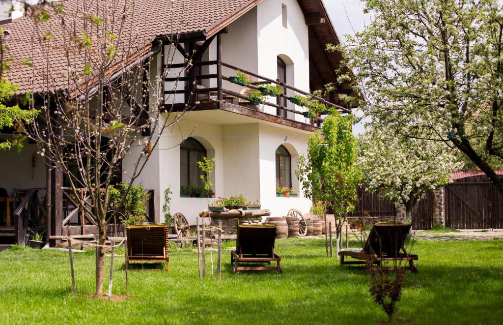 een groep stoelen in de tuin van een huis bij Casa Mosului in Cîrţişoara