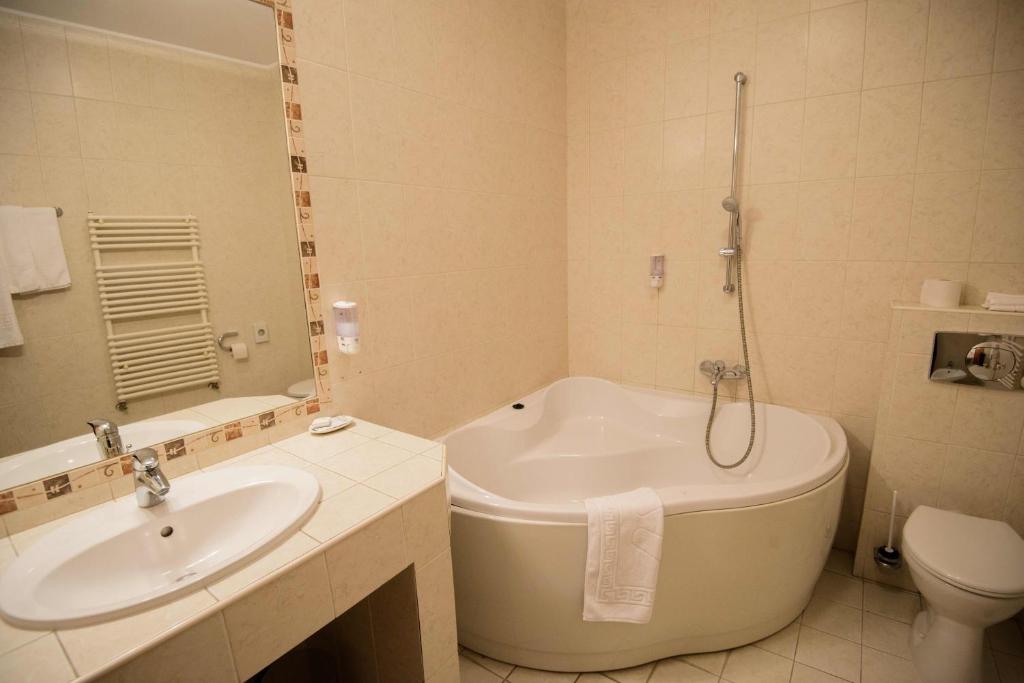 Hotel Alinalex - Paradisul Acvatic - Resim 12