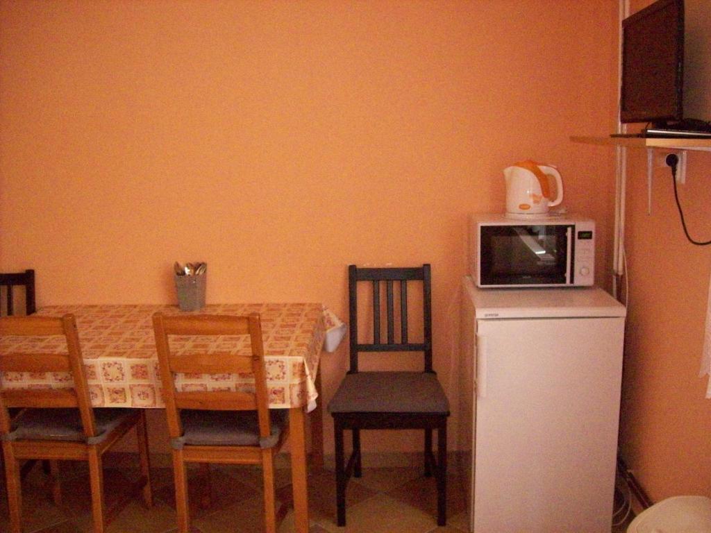 Kuchyň nebo kuchyňský kout v ubytování Ubytovani u Lysonku