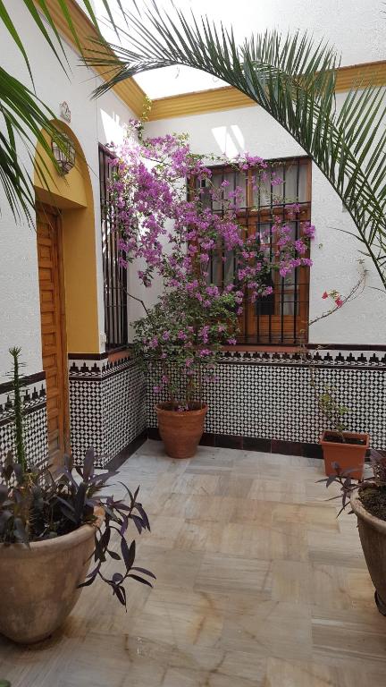 Casa Típica Cordobesa, Córdoba – Bijgewerkte prijzen 2022