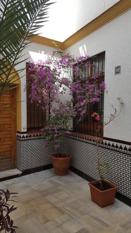 Casa Típica Cordobesa - 19