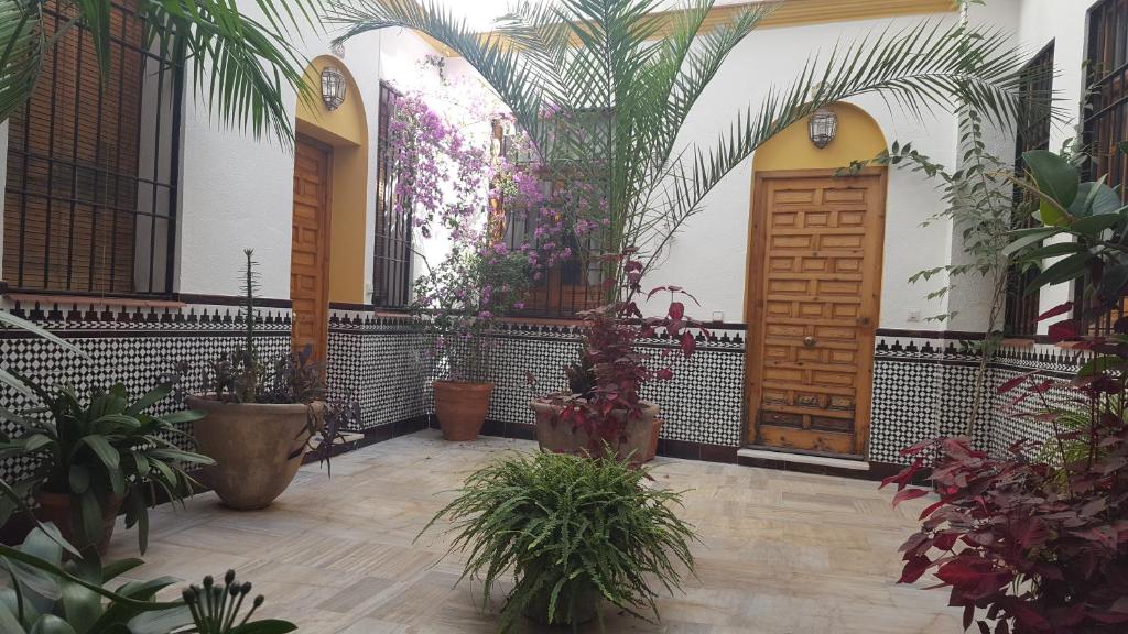 Casa Típica Cordobesa - 2