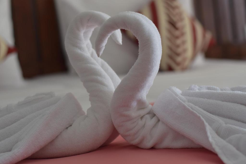 Cozy Sea view Inn - 11