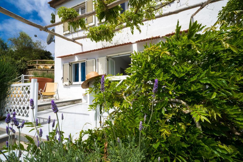 Zahrada ubytování Agriturismo Fattoria Terranova