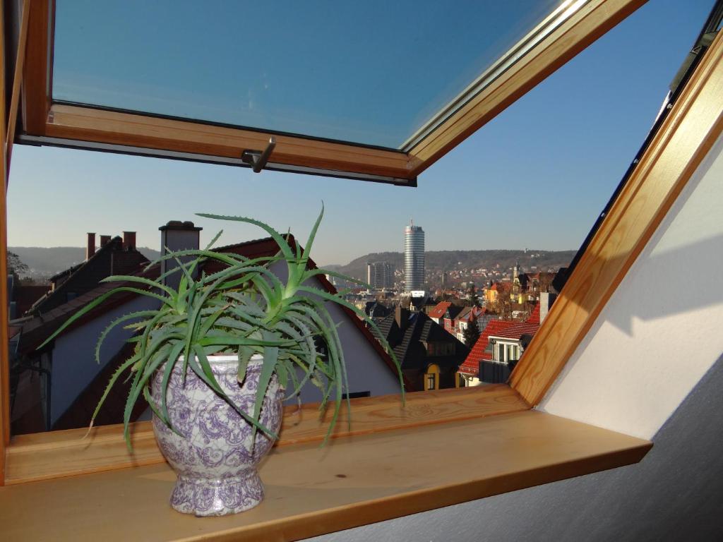 attraktives 2-Zimmer-Apartment mit Ausblick في جينا: مزهرية جالسة على حافة النافذة مع نبات