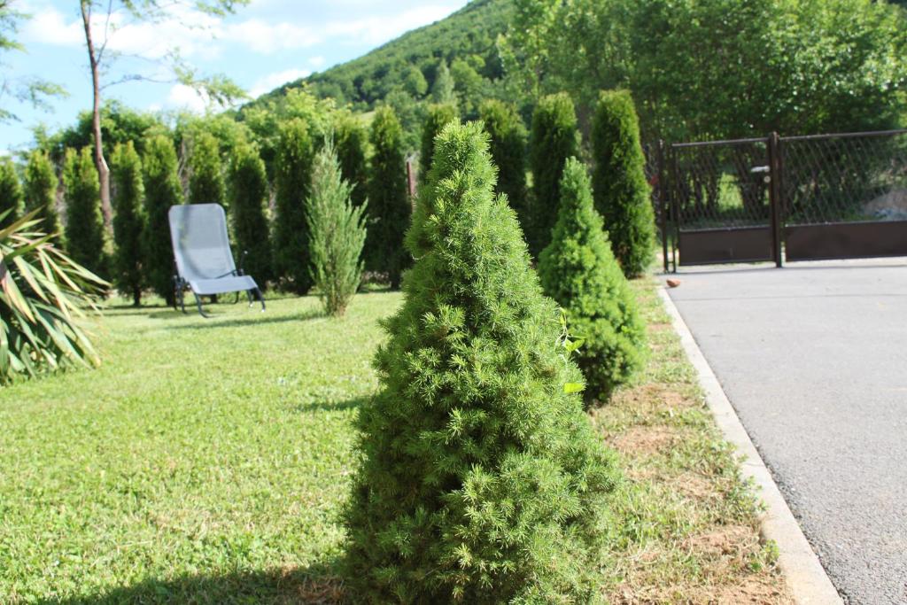 Vonkajšia záhrada v ubytovaní Holiday Home Dalija