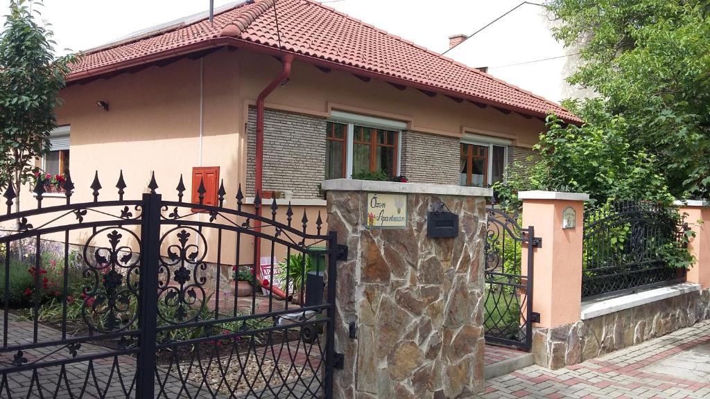 ハイドゥソボスローにあるÓzon Apartmentの門前の家