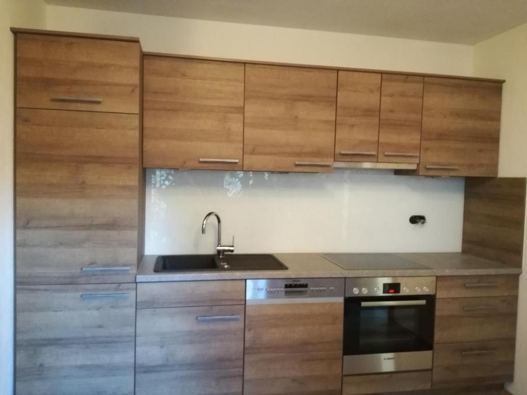 Kuchyň nebo kuchyňský kout v ubytování Häus`l am Ruan