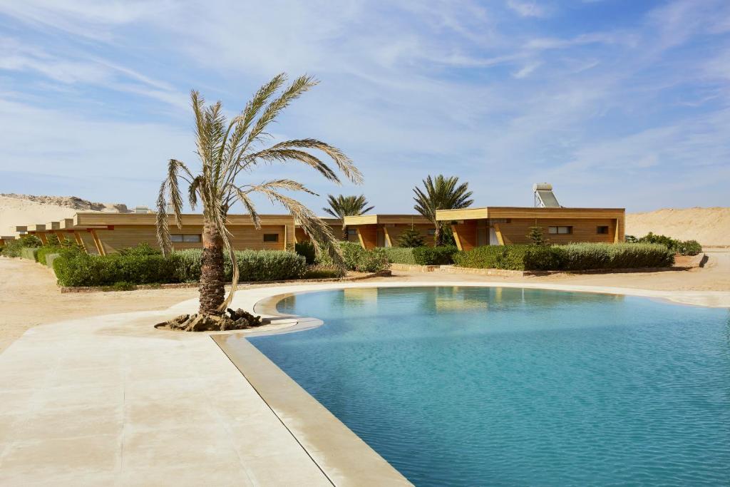 Bazén v ubytování Hotel Dakhla Club & SPA nebo v jeho okolí