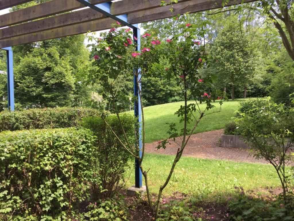 bfwhotel und Tagungszentrum - Resim 16