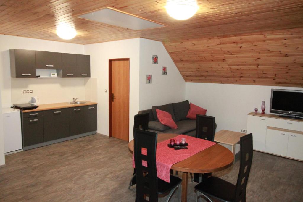 Kuchyň nebo kuchyňský kout v ubytování Apartmany Svijany
