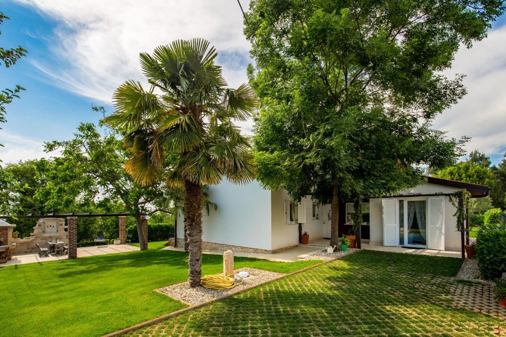 Ogród w obiekcie Villa Parenzana